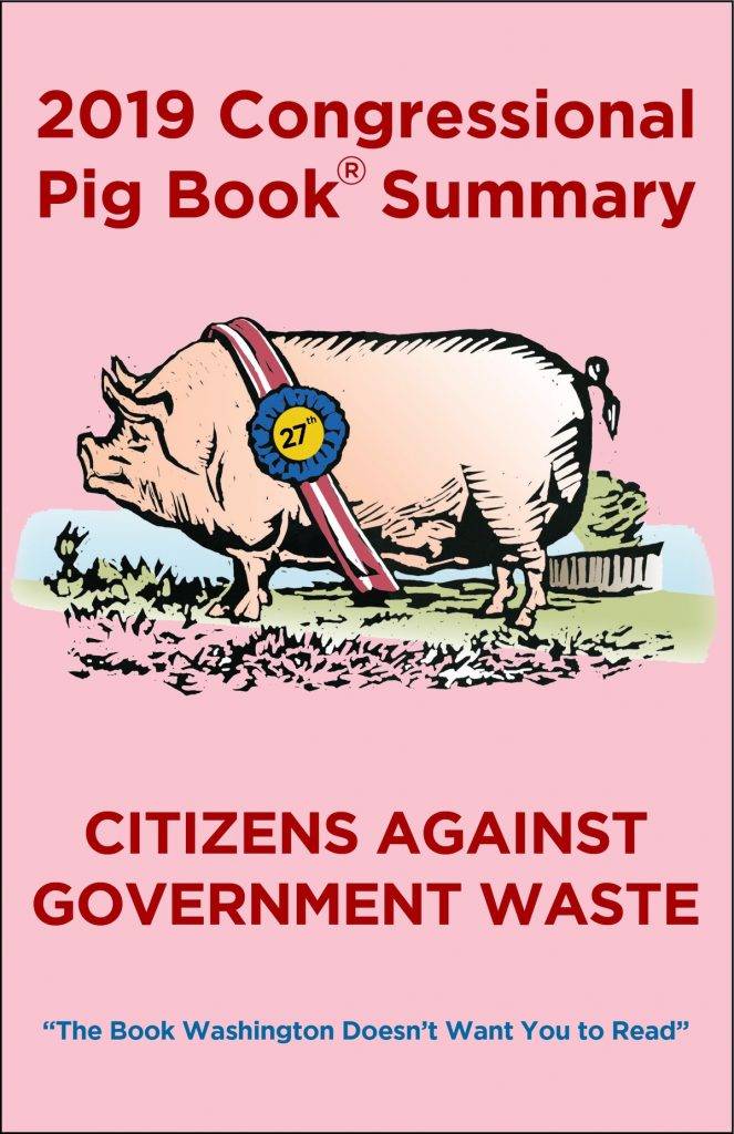 2019 Congressional Pig Book Summary
